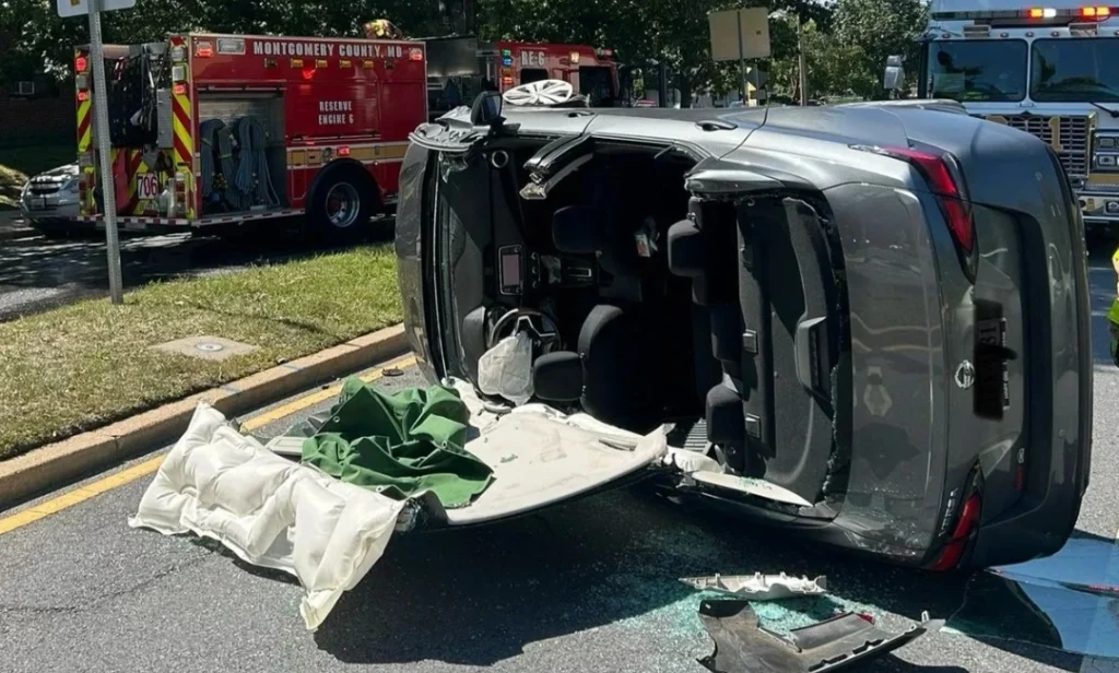 Is the City Responsible for Injuries from a Fallen Tree Accident