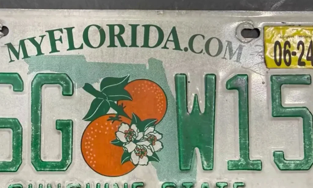 Could This New Plate Rule Reduce Crime