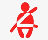 Seatbelt warning
